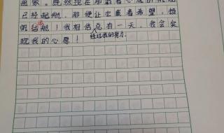 作文《心愿》六年级